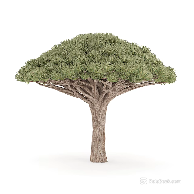 Tall Arbor With Green Lush Canopy Brown Textured Trunk And Unique Shape 3d model 