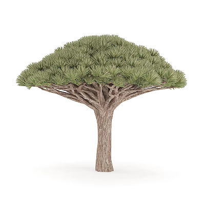 Tall Arbor With Green Lush Canopy Brown Textured Trunk And Unique Shape 3d model