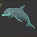 Leaping Dolphin 3D Model With Light Gray Color Dark Background And Reflection 3d model