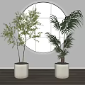 Indoor Decorative Potted Plants With White Pots And Circular Mirror On Light Wall