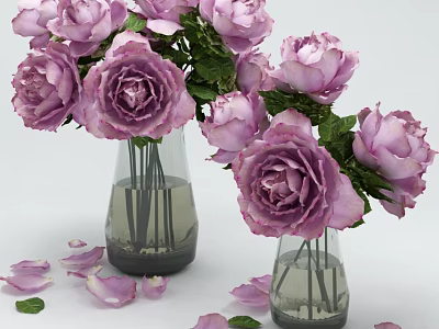 Purple Roses Arranged in Transparent Vases with Water Green Leaves and Petals 3d model