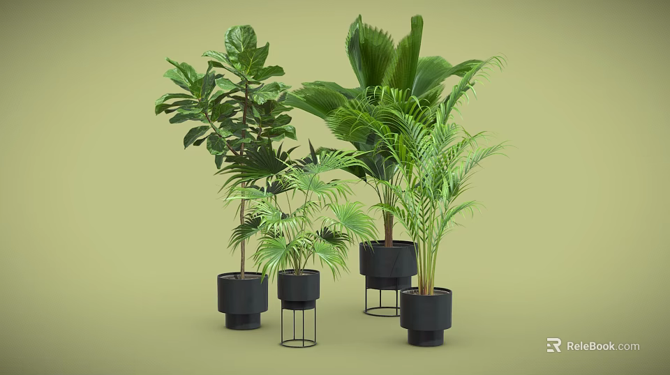 Indoor Potted Green Plants With Various Black Pots And Metal Stands 3d model 