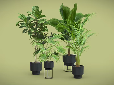 Indoor Potted Green Plants With Various Black Pots And Metal Stands 3d model