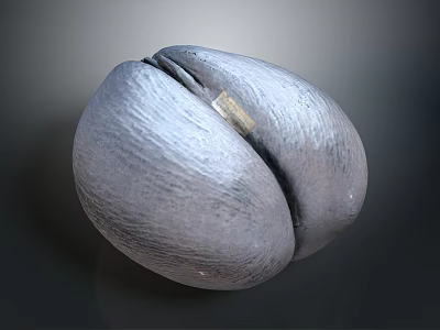 Split Coconut With Textured Surface And Visible Inner Part On Gray Background 3d model