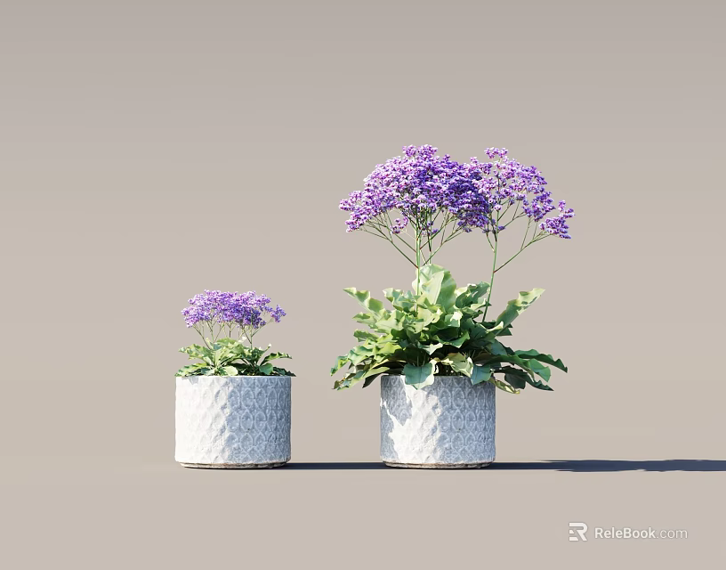Two Potted Plants With Purple Flowers In White Diamond Patterned Pots Against Neutral Background 3d model 