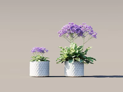 Two Potted Plants With Purple Flowers In White Diamond Patterned Pots Against Neutral Background 3d model