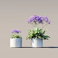 Two Potted Plants With Purple Flowers In White Diamond Patterned Pots Against Neutral Background