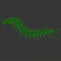 Black Centipede With Multiple Orange Legs And Long Segmented Body On Gray Background 3d model