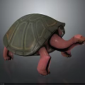 Turtle Character 3D Model with Pink Body and Green Brown Shell