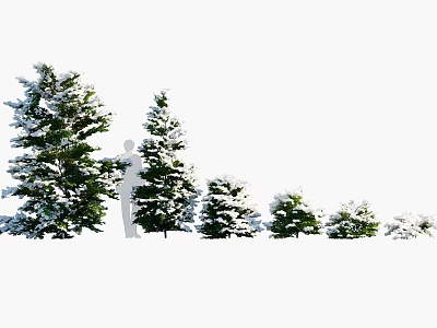 Snow Covered Trees In Different Sizes Arranged Along A White Background 3d model