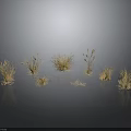 Golden Grass Plants with Various Shapes and Heights on Dark Background with Ground Reflection