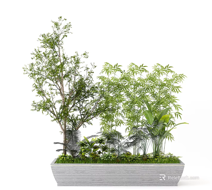 Decorative Bonsai Potted Plants With Mixed Green Trees Bamboo And Foliage In Container 3d model 