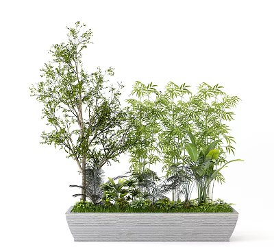 Decorative Bonsai Potted Plants With Mixed Green Trees Bamboo And Foliage In Container 3d model