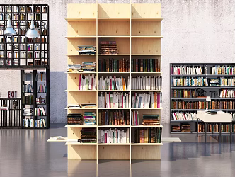 Modern Bookshelf 3d model
