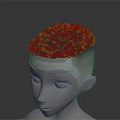 Anatomical 3D Head Model Showing Face Organs And Hair Structure Details