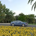 Scenic Garden Landscape With Yellow Flowers Blue Car Orange Trees And Palm Trees Along Roadside