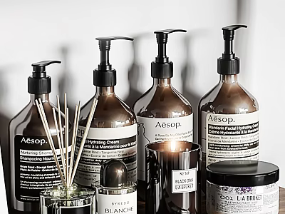 Elegant Home Decorative Accessories Set Including Aesop Bottles Diffuser And Candle 3d model