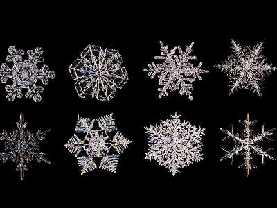Natural Snowflake Landscape Displaying Unique Crystal Shapes And Intricate Frozen Patterns 3d model