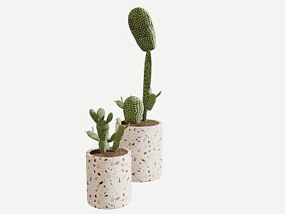 Living Plant Wall With Cactus Plants In Speckled Decorative Pots For Home Interior 3d model