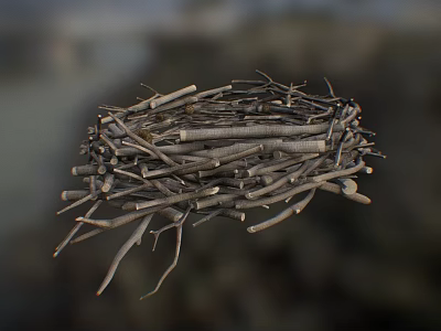 Natural Bird Nest Composed of Dry Twigs and Branches with Intricate Structure 3d model
