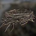 Natural Bird Nest Composed of Dry Twigs and Branches with Intricate Structure