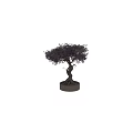 Bonsai Potted Plant With Twisted Trunk Purple Flowers And Exposed Roots
