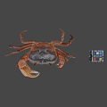Whole Fresh Seafood Crab With Colorful Rubik's Cube On Gray Surface