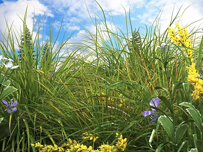 Lush Green Shrubs With Yellow Flowers And Purple Blooms Under Blue Sky 3d model