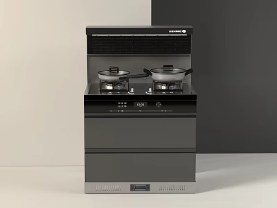 Modern Integrated Cooker with Double Burners Lidded Pots and Range Hood in Black Gray Finish 3d model
