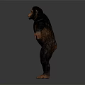Standing Chimpanzee With Outstretched Arms And Muscular Build In Detailed 3D Rendering