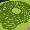 Green Hedge Maze Outdoor Play Equipment With Night Sky And People Exploring