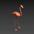 Full Body View Of Pink Flamingo Standing On Long Legs With Neutral Gray Background