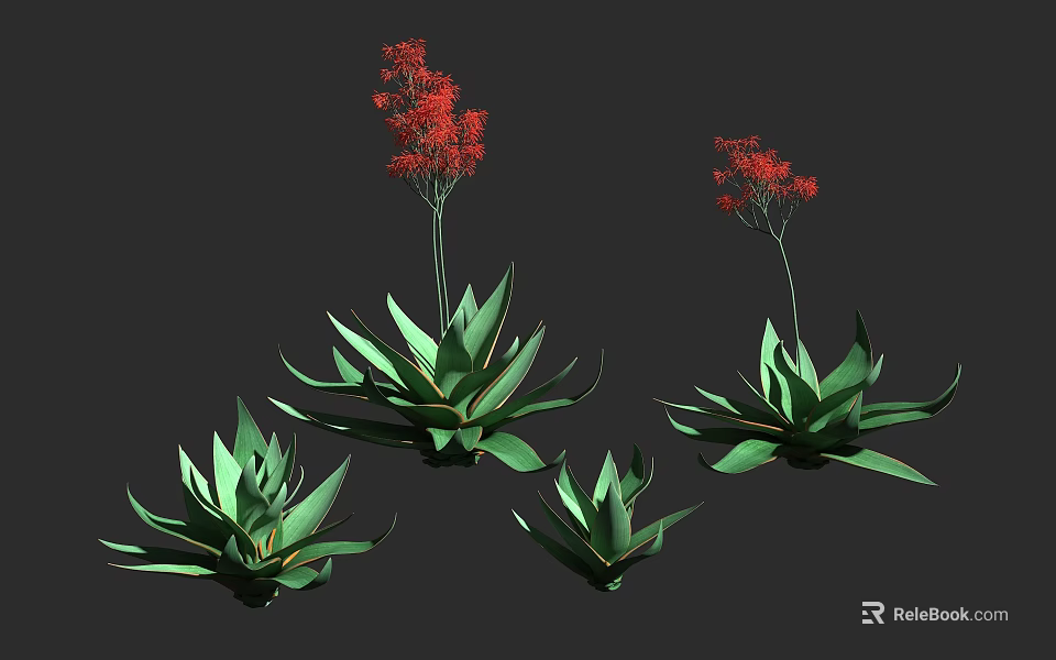 Succulent Plants With Green Leaves And Red Flowers In Different Sizes 3d model 