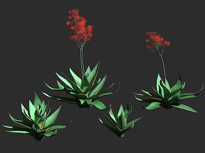 Succulent Plants With Green Leaves And Red Flowers In Different Sizes 3d model