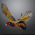 Vibrant Colored Bird Flying With Spread Wings Against Dark Background