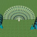 Three Peacocks With Spread Turquoise Feathers On Green Grass Field Under Blue Sky