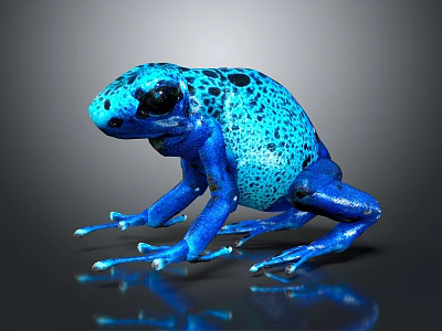 Modern Poison Frog Frog 3d model