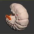 White Caterpillar With Curved Body Orange Appendages And Red Spots