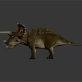 Realistic Triceratops Dinosaur Model With Large Horns Spiked Frill And Detailed Skin Texture