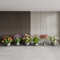 Colorful Bonsai Potted Plants With Various Flowers In Gray Pots For Indoor Decor
