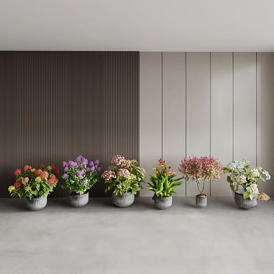 Colorful Bonsai Potted Plants With Various Flowers In Gray Pots For Indoor Decor 3d model