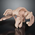 Detailed 3D Model of Human Organs and Hair with Complex Anatomical Structure