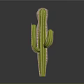 Tall Green Cactus Plant With Spiny Arms Standing On Gray Background