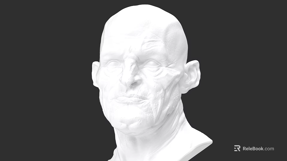 Realistic Male Head Bust Sculpture In White Material With Detailed Features 3d model 