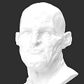 Realistic Male Head Bust Sculpture In White Material With Detailed Features