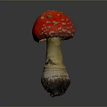 Vibrant Red Mushroom With White Spots Isolated On Grey Background Macro View