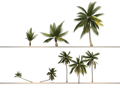 Various Palm Trees In Different Sizes And Growth Forms Arranged In Rows 3d model