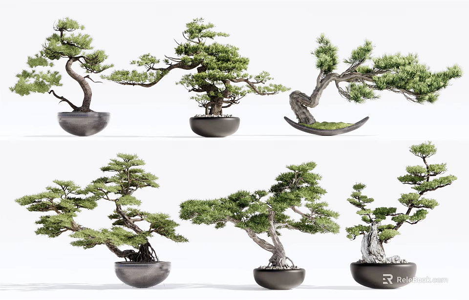 Artistic Bonsai Trees With Various Shapes And Green Foliage In Decorative Pots 3d model 