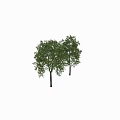 Decorative Ornament Set Featuring Two Green Trees And Natural Landscape Elements 3d model