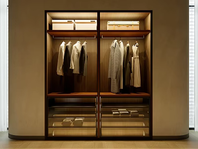 Modern Built in Wardrobe Interior With Hanging Clothes Storage Drawers And White Boxes 3d model